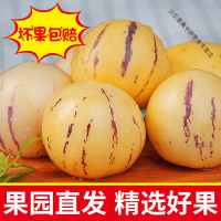 鲜木水果与云南石林人参果 品种、口感与选购全解析