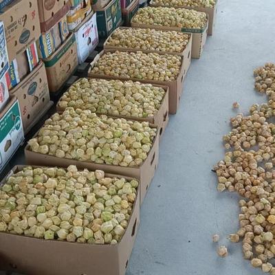 辽宁鞍山岫岩县黄菇娘 鲜甜灯笼果，批发价优走市场