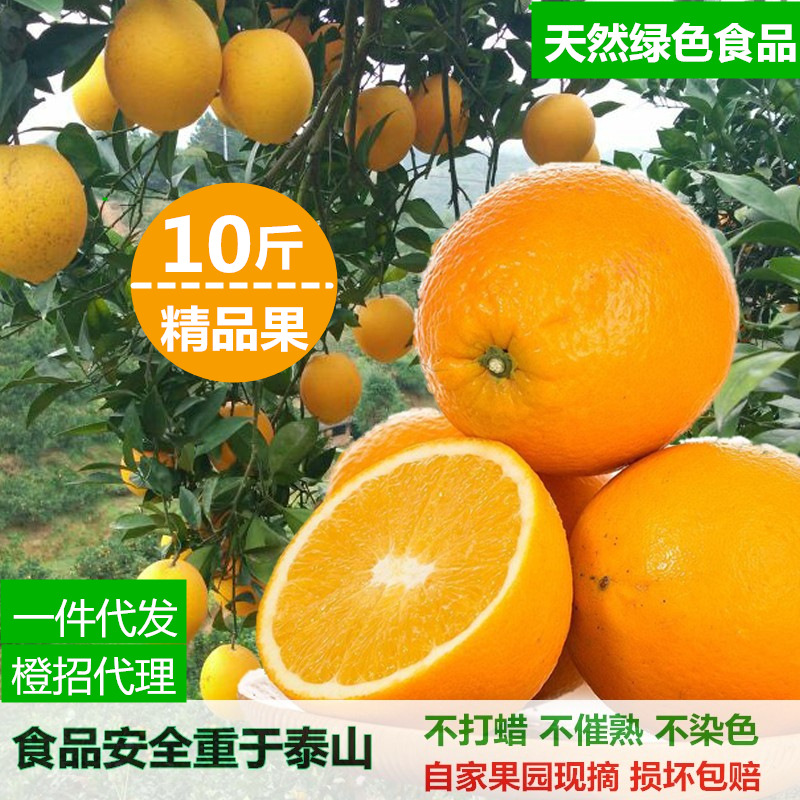 富川脐橙 优质新鲜水果批发的不二之选