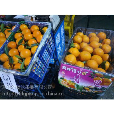 广州江南水果批发市场代卖服务 新鲜水果批发的便捷之选